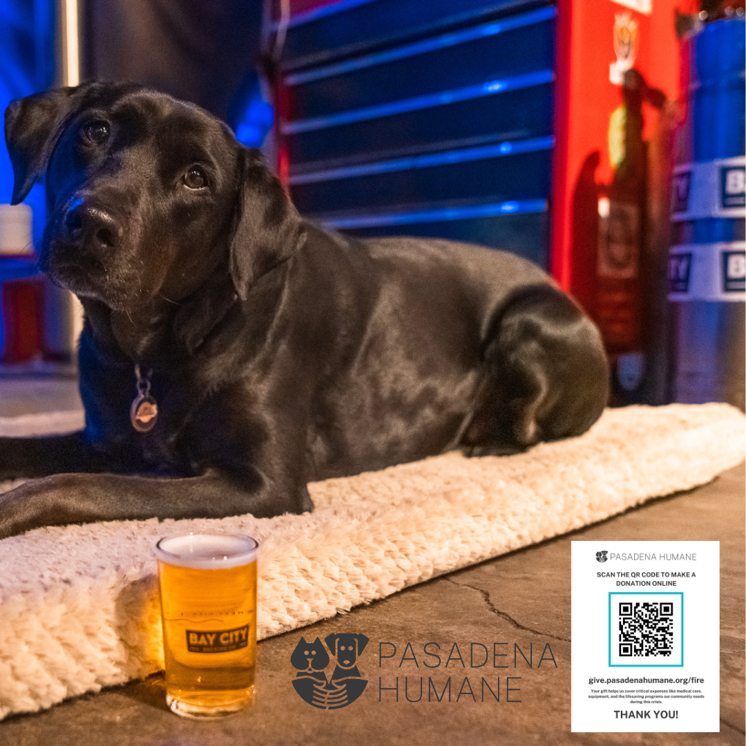 Pasadena Humane Society Fundraiser