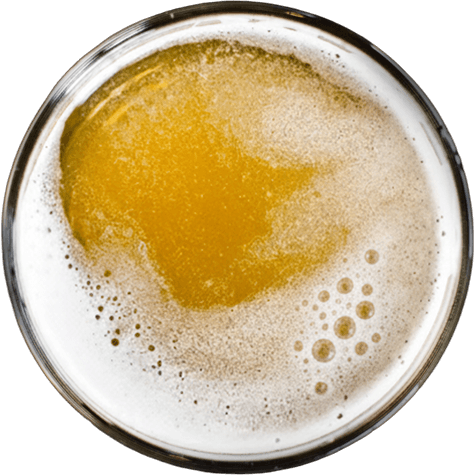 Bay City Lager Tasting Notes